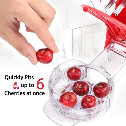 Portable Stainless Steel Cherry Pitter