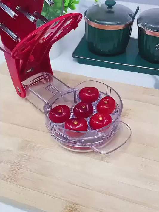 Portable Stainless Steel Cherry Pitter